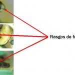 Diagnostico de fisuras y fracturas